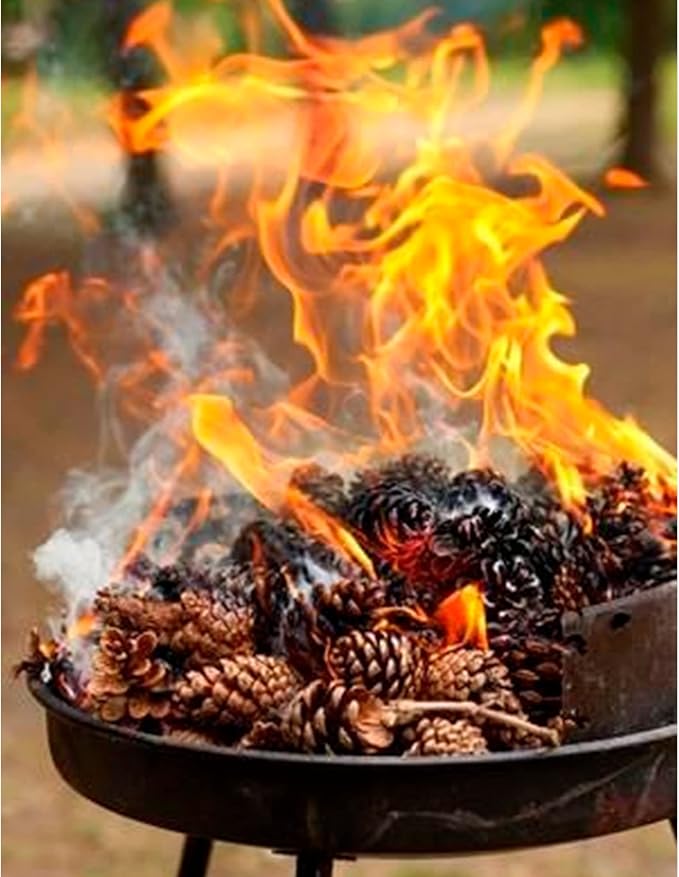 Piñas Naturales para Encender – El susurro del bosque al fuego