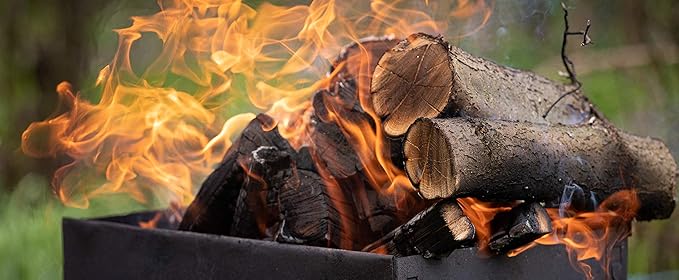 Leña de Encina Ecológica – El fuego noble del Mediterráneo