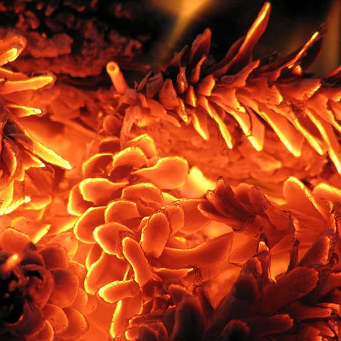 Piñas Naturales para Encender – El susurro del bosque al fuego